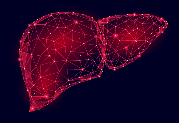 Metabolismo de lípidos