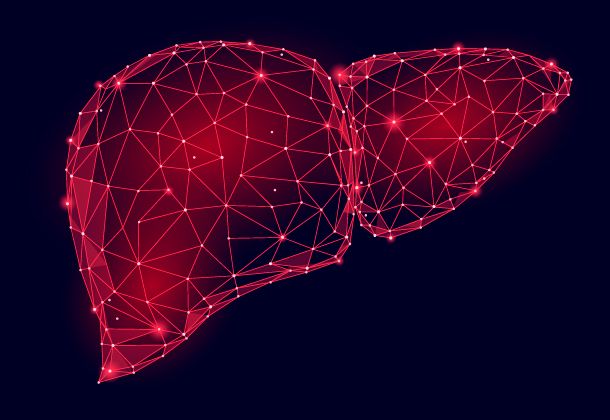 Metabolismo de lípidos