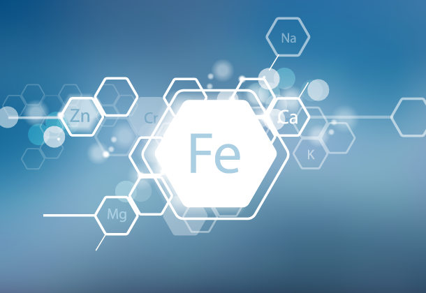 Metabolismo del hierro