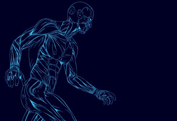 Interacción del organismo con el nitrógeno y aminoácidos 